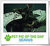Pet Pics on PetSugar 2009-04-09 09:30:45