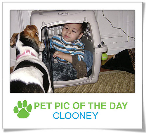 Pet Pics on PetSugar 2009-04-23 09:00:04