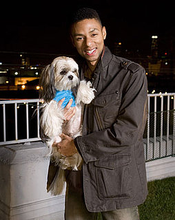 Artist Knox from Groomer Has It Gets His Own Show called Beverly Hills Groomer