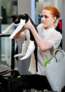 Nicodemus Is a Feline Flier With Evan Rachel Wood