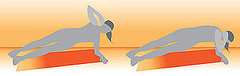 Core Work: Side Elbow Plank With Twist Core Work: Side Elbow Plank With Twist