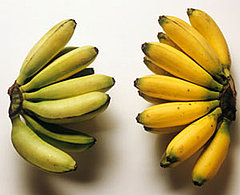 Quiz About Potassium Quiz About Potassium
