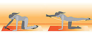 Multitasking Move: Opposite Limb Extensions With a Band