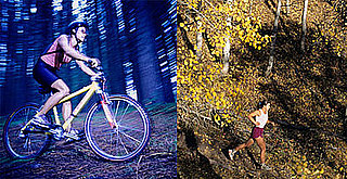 Tips For Exercising in the Woods