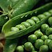 Peas