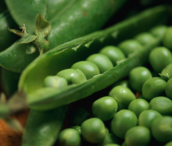 Peas Peas