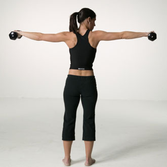 The Anatomy of Exercise
