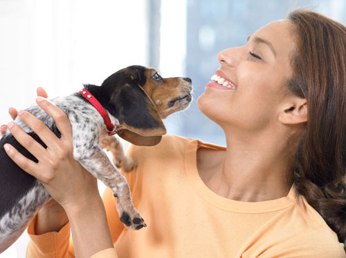 Playing With Pets Reduces Stress