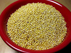 Learn to Love: Millet Learn to Love: Millet