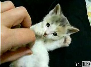 Happy Caturday!