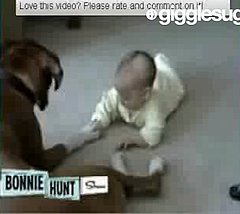 Cute Alert: Boxer and Baby Become Friends