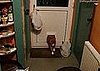 Fat Cat Can't Get Through Cat Door