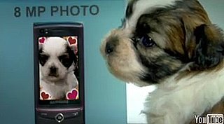 Cute Alert: Check Out the Puppy Photo Booth!