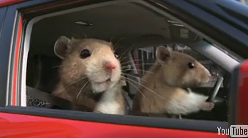 Kia Soul Hamsters Commercial