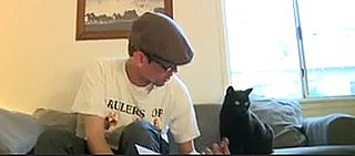 Sheeba the Cat Does Her Taxes