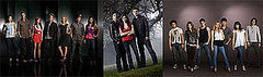 The CW Announces Its Fall Schedule with New Shows Melrose Place, The Vampire Diaries, and The Beautiful Life