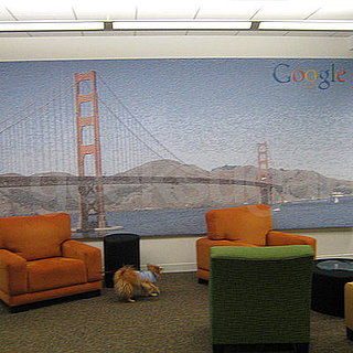 Ten Reasons Why I Love Google's San Francisco Office