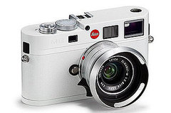 White Lomography, SLR, and Basic Digital Cameras