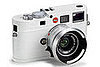 White Lomography, SLR, and Basic Digital Cameras