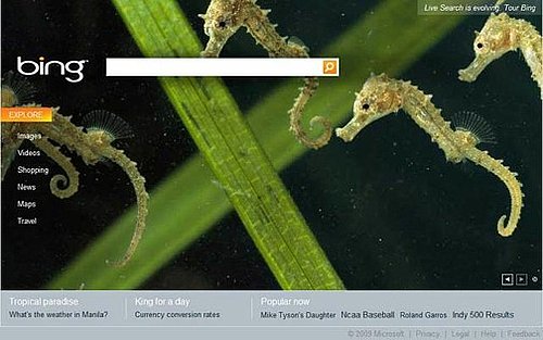 Microsoft Launches Bing Search Engine to Compete With Google