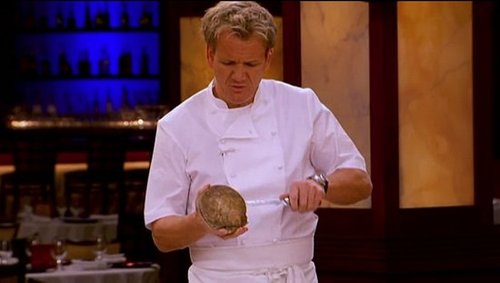 Have You Ever Shucked a Scallop? 