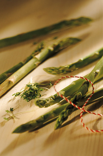 Asparagus Asparagus