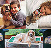 Win an Iams Package For Your Cat or Dog and Two Kuranda Beds For Shelter Pets 2009-02-25 12:45:04