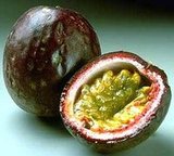 Recipe For Jasmine Rice Pudding With Passionfruit Recipe For Jasmine Rice Pudding With Passionfruit