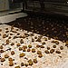 Chocolate Bath Time