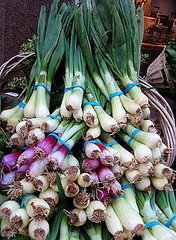 How to Enjoy Spring Onions