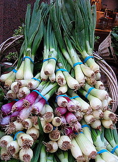 How to Enjoy Spring Onions