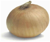 Beginner Onion Dip Beginner Onion Dip