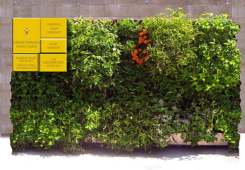Cool Idea: Free Tomato Seeds From Campbell's