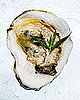 Definition of Mignonette Sauce