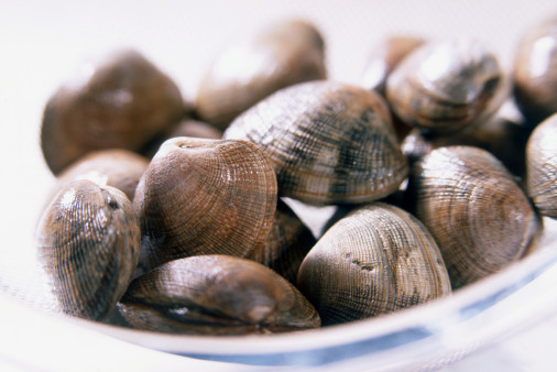 7 Surefire Sustainable Seafood Options 7 Surefire Sustainable Seafood Options