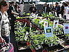 This Week's Food News: Apr. 22, 2009