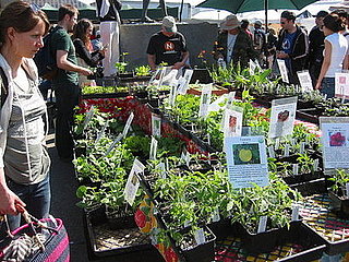 This Week's Food News: Apr. 22, 2009