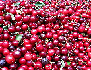 How to Prepare Cherries