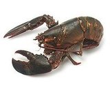 Expert Recipe For Lobster Rolls