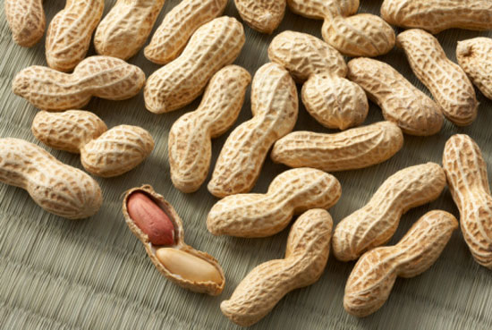 Are Inspectors to Blame For the Peanut Salmonella Outbreak? Are Inspectors to Blame For the Peanut Salmonella Outbreak?