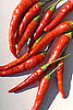 Yummy Links: From Chiles to Girl Scout Cookies