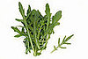 Arugula