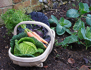 VeggieTrader Lets Home Gardeners Trade Produce