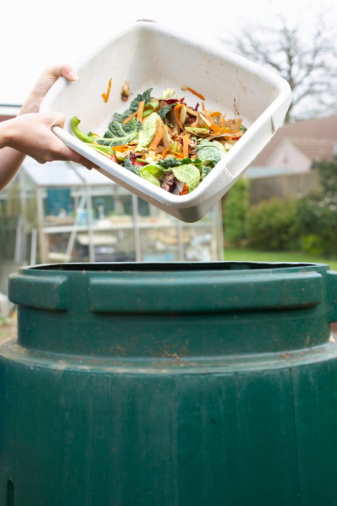 Do You Have a Compost Bin? Do You Have a Compost Bin?