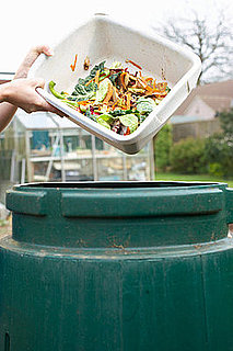 Do You Have a Compost Bin?