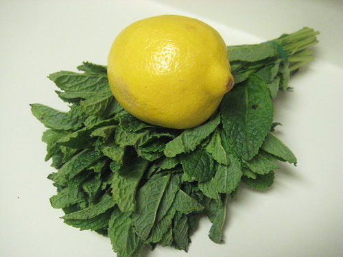 Lemon Mint Julep Lemon Mint Julep