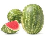 Watermelon Rum Mash