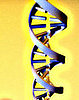 DNA Testing For Athletic Ability