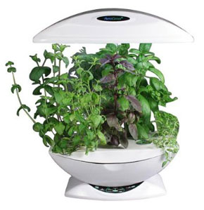 Recession Garden Substitutes For Those Without Space