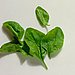 Spinach